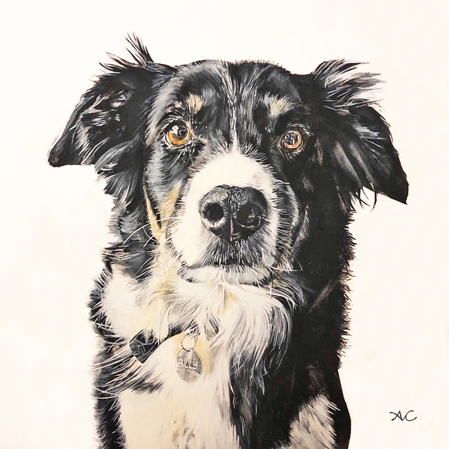PET PORTRAIT PAINTINGS