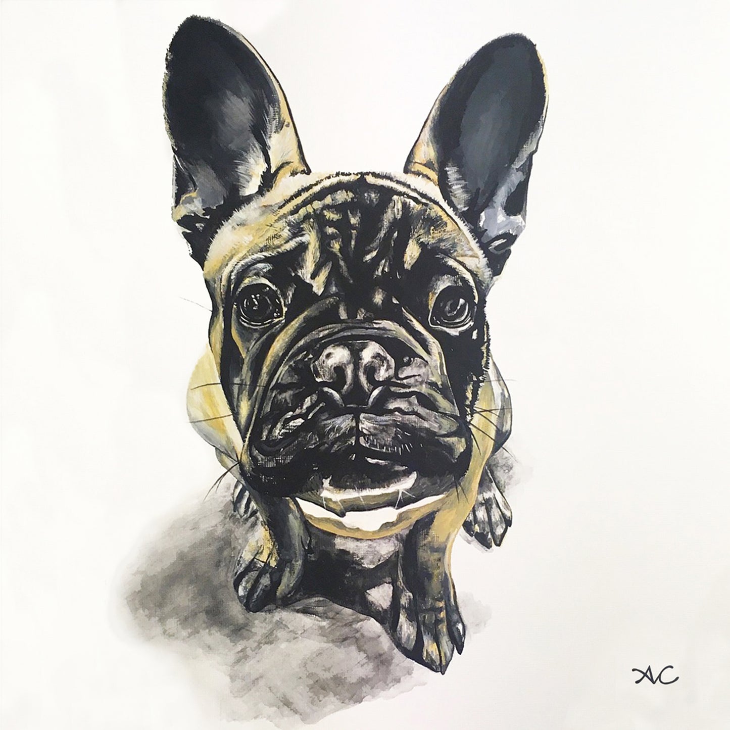 PET PORTRAIT PAINTINGS
