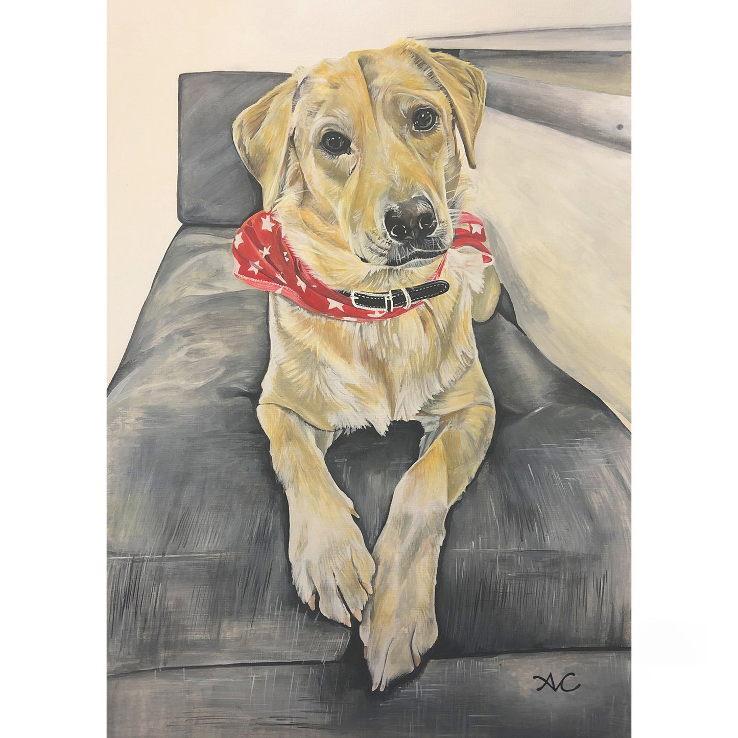 PET PORTRAIT PAINTINGS