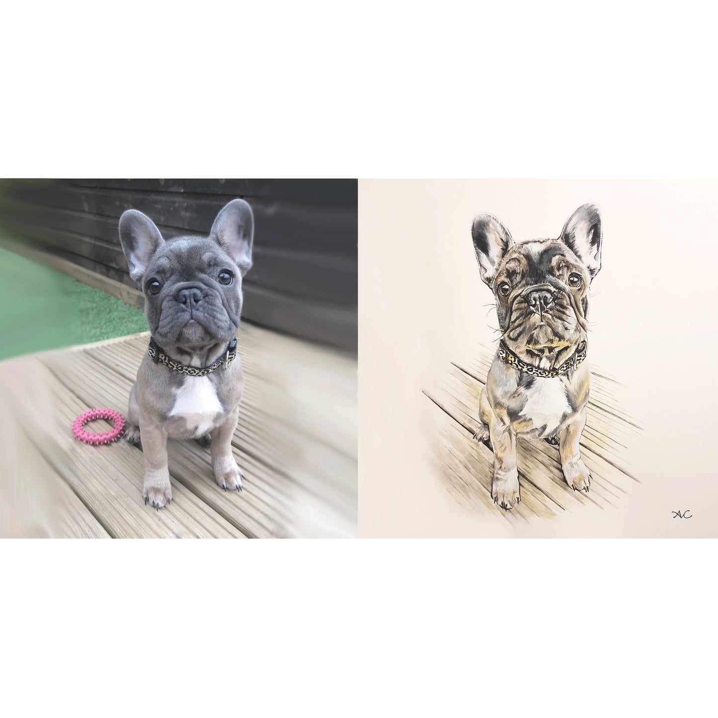 PET PORTRAIT PAINTINGS