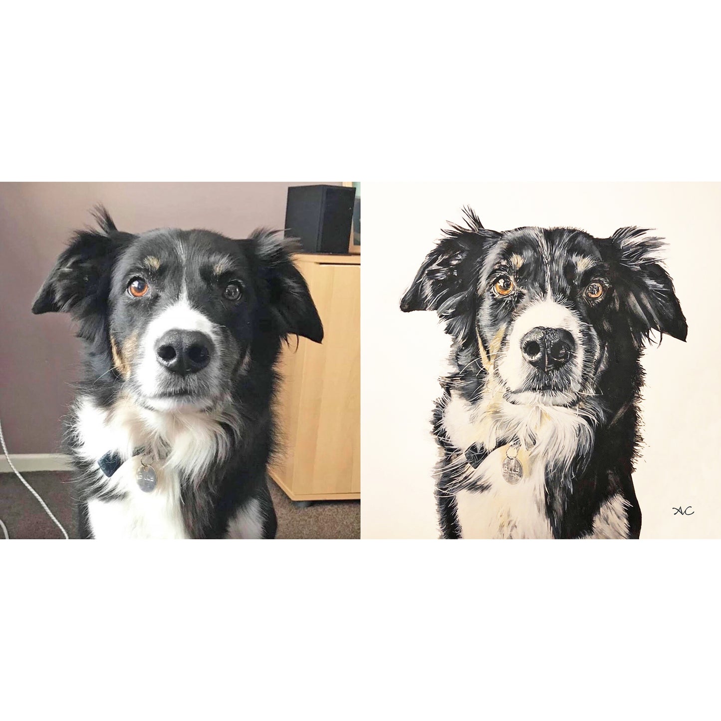 PET PORTRAIT PAINTINGS