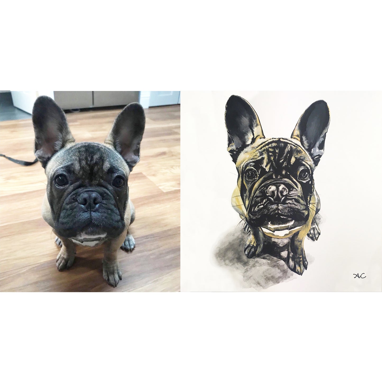 PET PORTRAIT PAINTINGS