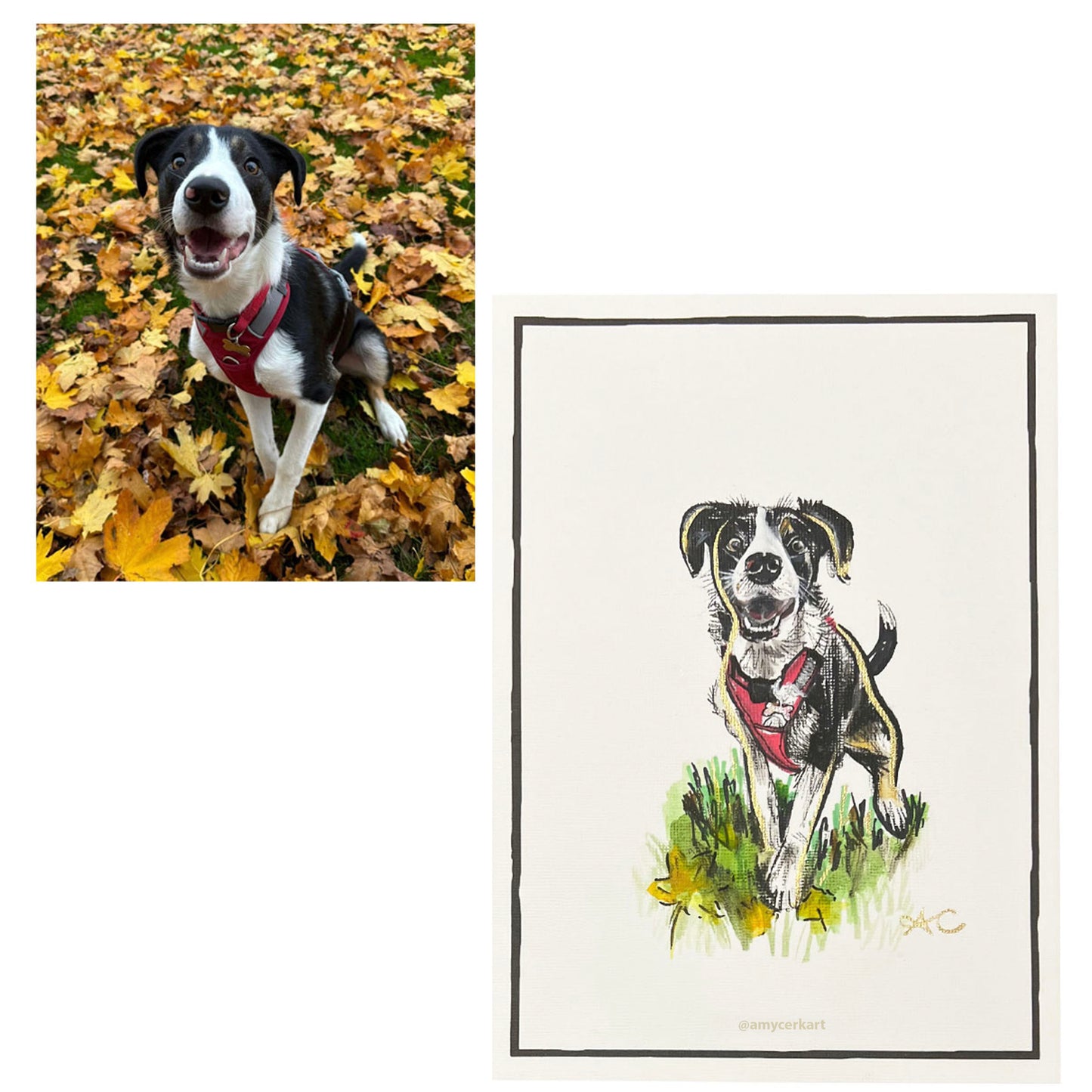 CHRISTMAS GIFTING - BESPOKE ILLUSTRATION